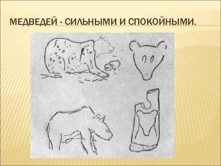 МЕДВЕДЕЙ - СИЛЬНЫМИ И СПОКОЙНЫМИ. 