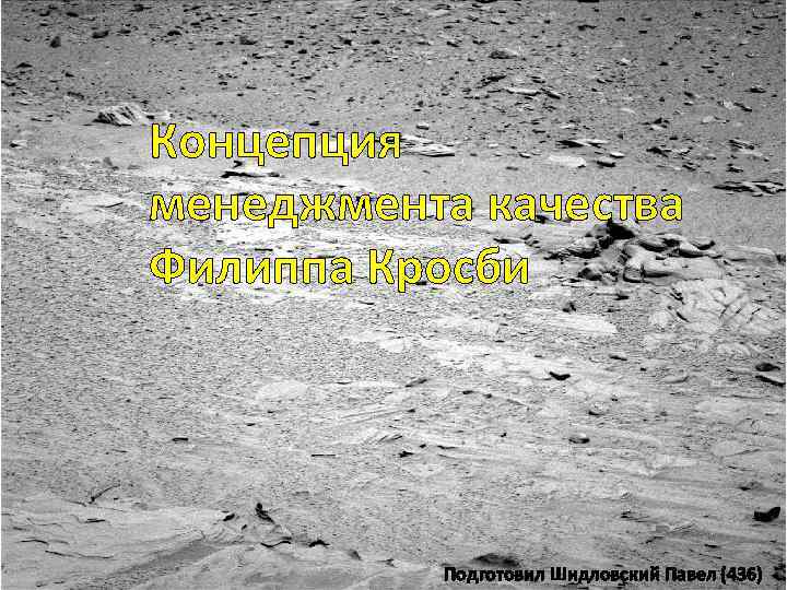 Концепция менеджмента качества Филиппа Кросби Подготовил Шидловский Павел (436) 