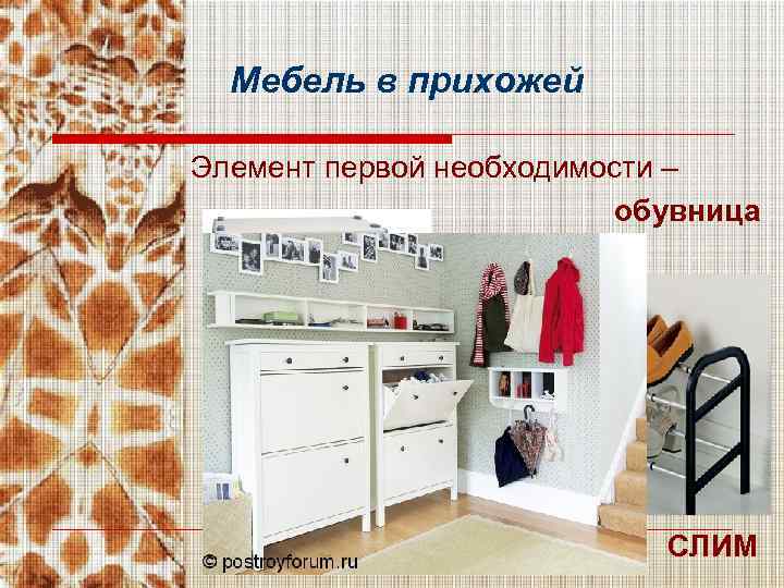 Мебель в прихожей Элемент первой необходимости – обувница СЛИМ 