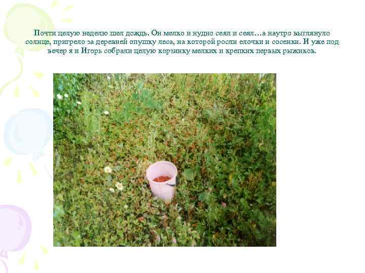 Почти целую неделю шел дождь. Он мелко и нудно сеял и сеял…а наутро выглянуло