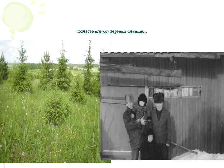  «Младое племя» деревни Сечище… 