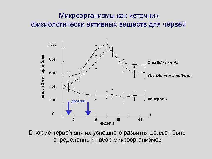 Микроорганизмы как источник физиологически активных веществ для червей масса 5 -ти червей, мг 1000