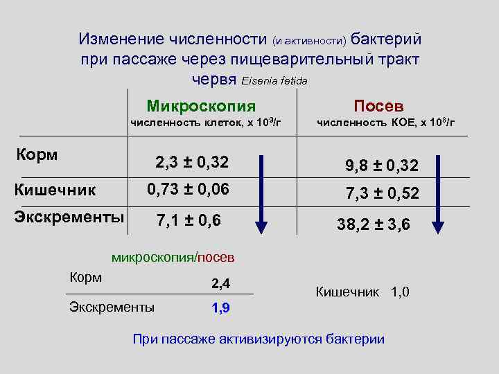 Изменение численности (и активности) бактерий при пассаже через пищеварительный тракт червя Eisenia fetida Микроскопия