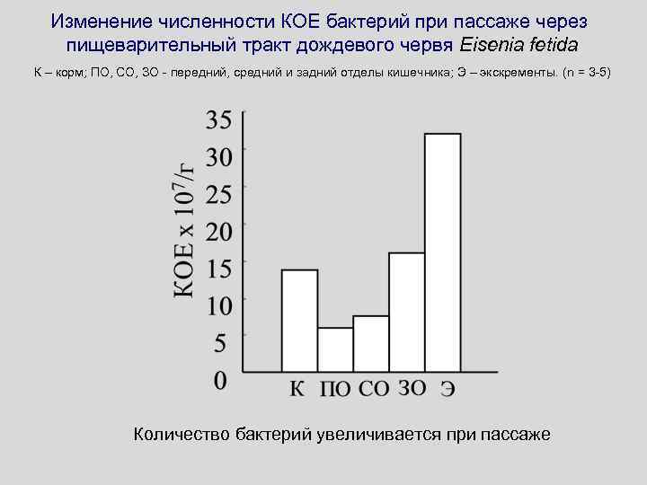 Изменение численности КОЕ бактерий при пассаже через пищеварительный тракт дождевого червя Eisenia fetida К