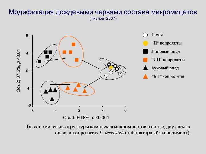 Модификация дождевыми червями состава микромицетов (Тиунов, 2007) 