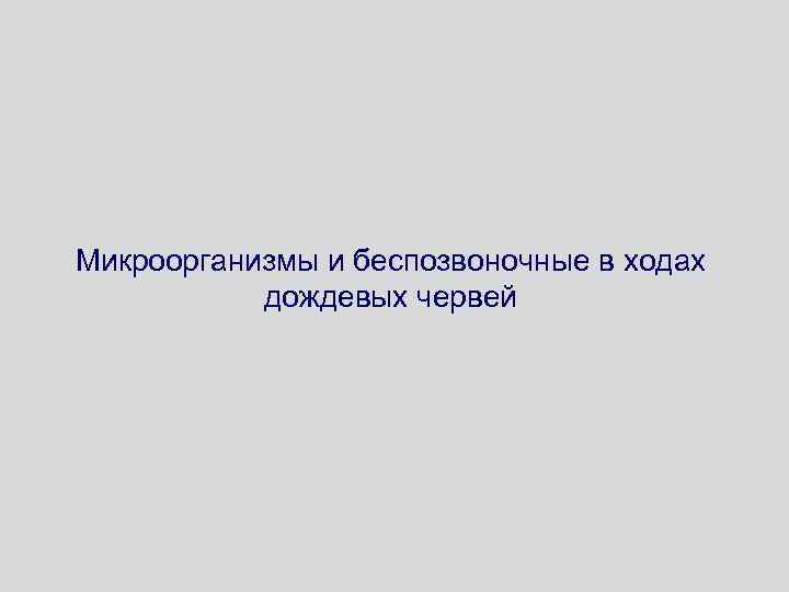 Микроорганизмы и беспозвоночные в ходах дождевых червей 
