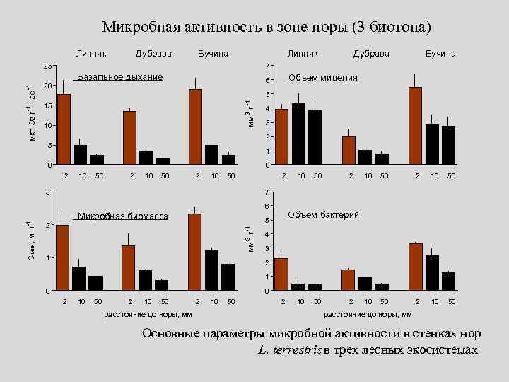 Микробная активность в зоне норы (3 биотопа) Липняк Дубрава Бучина Липняк 25 -1 5