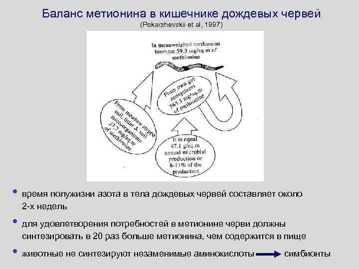 Баланс метионина в кишечнике дождевых червей (Pokarzhevskii et al, 1997) • время полужизни азота