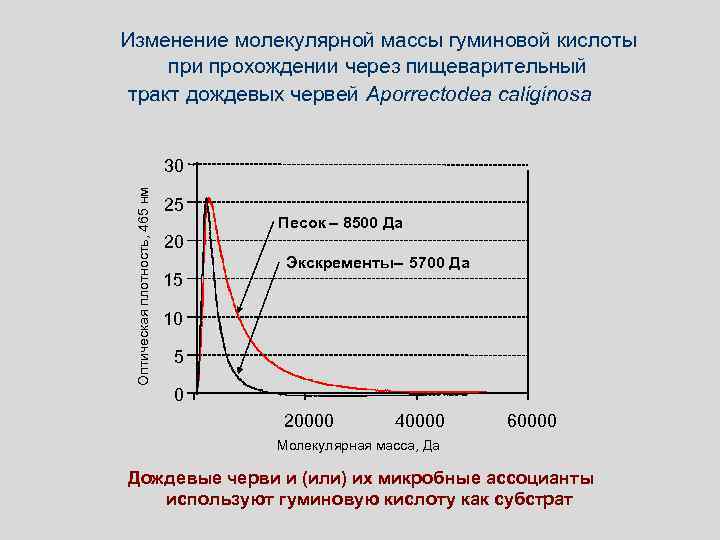 Изменение молекулярной массы гуминовой кислоты при прохождении через пищеварительный тракт дождевых червей Aporrectodea caliginosa