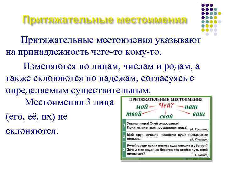 Притяжательные местоимения указывают на принадлежность чего-то кому-то. Изменяются по лицам, числам и родам, а