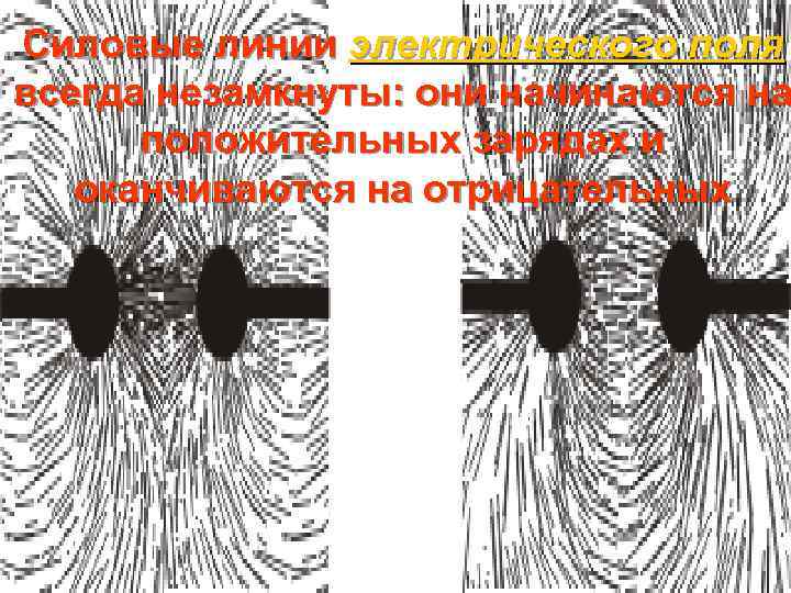 Силовые линии электрического поля всегда незамкнуты: они начинаются на положительных зарядах и оканчиваются на