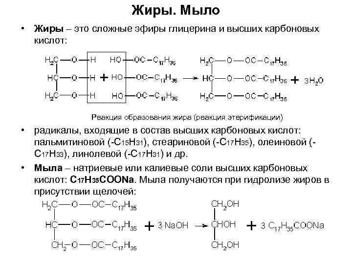 Сложные эфиры жиры 10 класс конспект