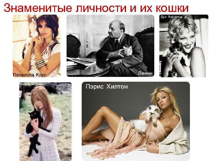 Знаменитые личности и их кошки 
