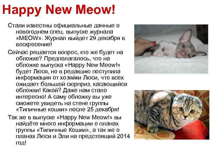 Happy New Meow! Стали известны официальные данные о новогоднем спец. выпуске журнала «MEOW» .