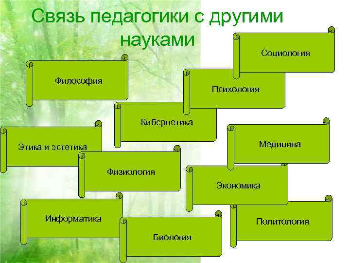  Связь педагогики с другими науками Социология Философия Психология Кибернетика Этика и эстетика Медицина