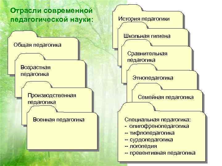 Отрасли современной педагогической науки: История педагогики Школьная гигиена Общая педагогика Сравнительная педагогика Возрастная педагогика