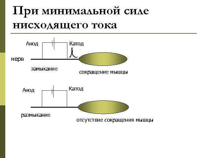 При минимальной силе нисходящего тока Анод Катод нерв замыкание Анод размыкание сокращение мышцы Катод