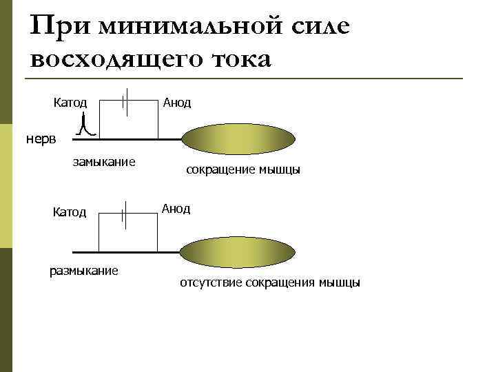 При минимальной силе восходящего тока Катод Анод нерв замыкание Катод размыкание сокращение мышцы Анод