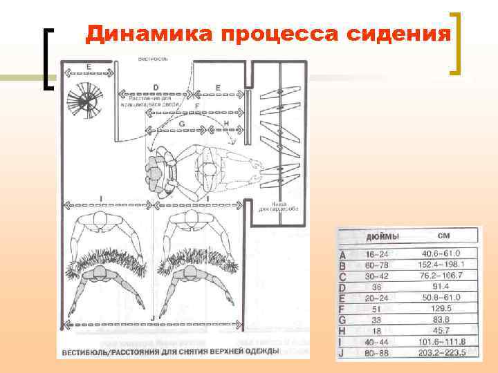 Динамика процесса сидения 