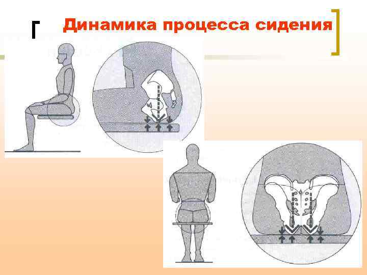 Динамика процесса сидения 