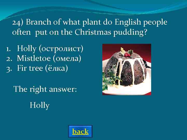24) Branch of what plant do English people often put on the Christmas pudding?