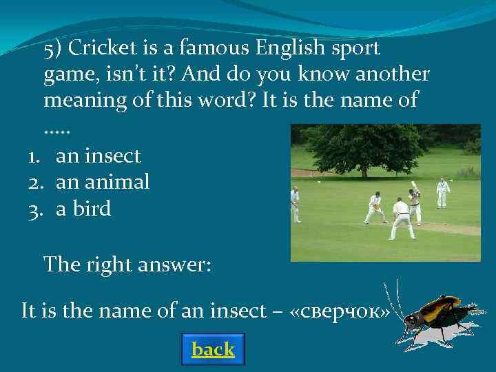 5) Cricket is a famous English sport game, isn’t it? And do you know