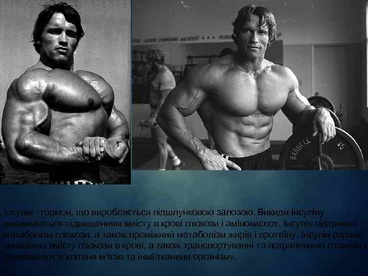 Інсулін - гормон, що виробляється підшлунковою залозою. Викиди інсуліну викликаються підвищенням вмісту в крові