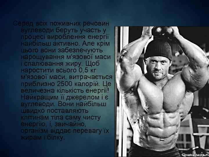 Серед всіх поживних речовин вуглеводи беруть участь у процесі вироблення енергії найбільш активно. Але