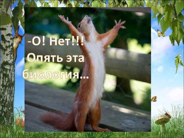 Свойство живого и -О! Нет!!! уровни жизни Опять эта Вспомните и биология… перечислите свойства