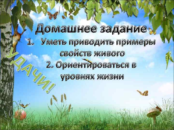 Домашнее задание 1. Уметь приводить примеры свойств живого 2. Ориентироваться в уровнях жизни УД
