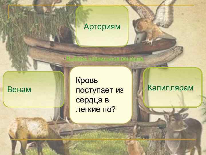 Артериям Выбери правильное решение. Венам Кровь поступает из сердца в легкие по? Капиллярам 