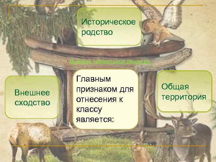 Историческое родство Выбери правильное решение. Внешнее сходство Главным признаком для отнесения к классу является: