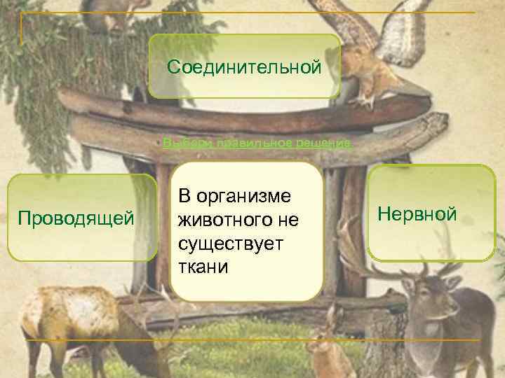 Соединительной Выбери правильное решение. Проводящей В организме животного не существует ткани Нервной 