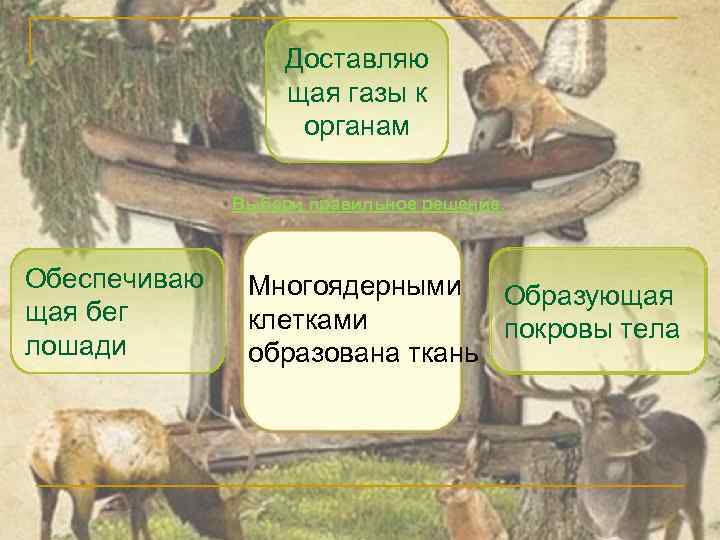 Доставляю щая газы к органам Выбери правильное решение. Обеспечиваю щая бег лошади Многоядерными Образующая