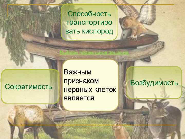 Способность транспортиро вать кислород Выбери правильное решение. Сократимость Важным признаком нервных клеток является Возбудимость