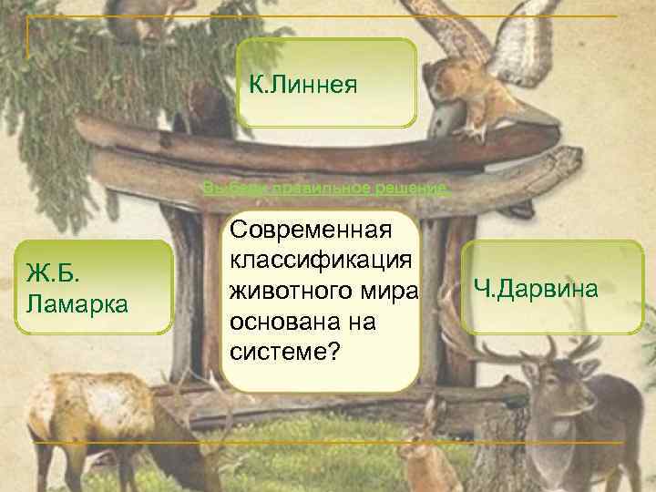К. Линнея Выбери правильное решение. Ж. Б. Ламарка Современная классификация животного мира основана на