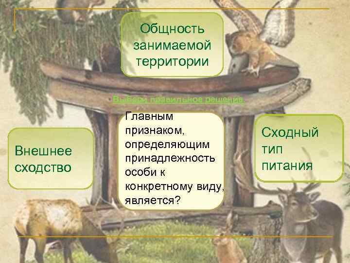 Общность занимаемой территории Выбери правильное решение. Внешнее сходство Главным признаком, определяющим принадлежность особи к