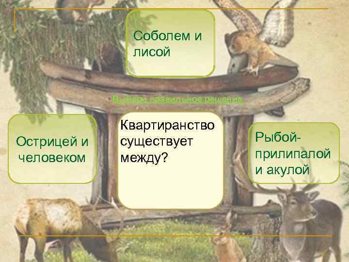 Соболем и лисой Выбери правильное решение. Острицей и человеком Квартиранство существует между? Рыбойприлипалой и
