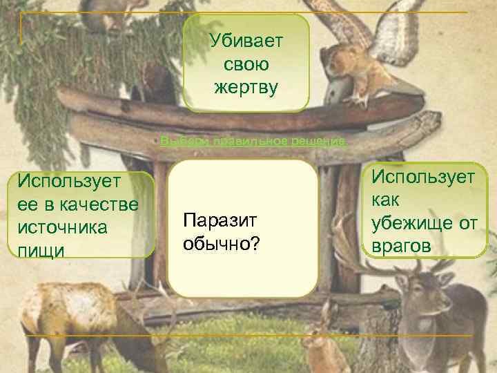 Убивает свою жертву Выбери правильное решение. Использует ее в качестве источника пищи Паразит обычно?