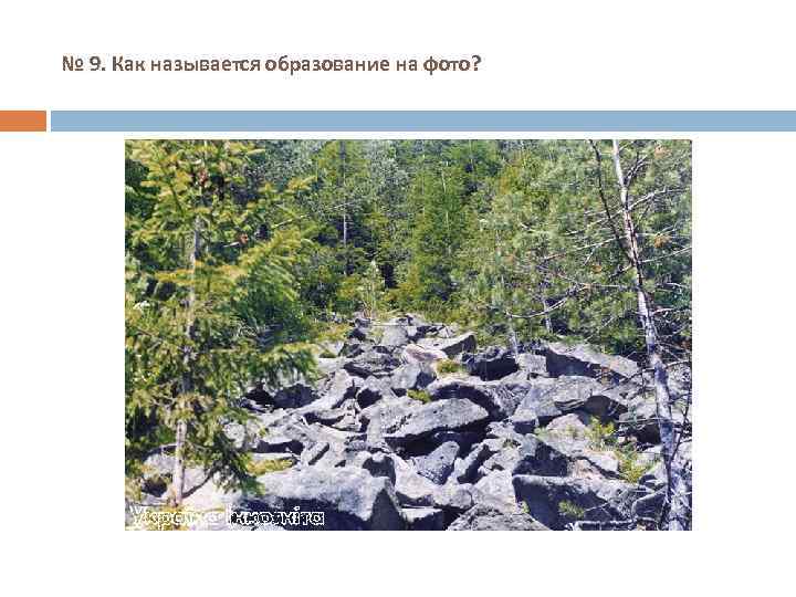 № 9. Как называется образование на фото? 