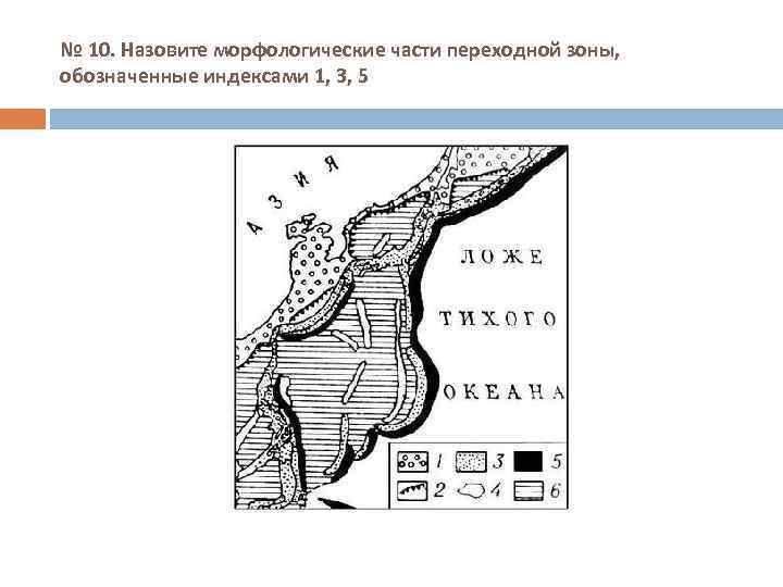 № 10. Назовите морфологические части переходной зоны, обозначенные индексами 1, 3, 5 