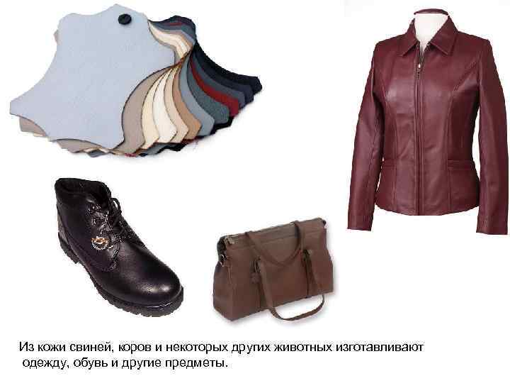 Из кожи свиней, коров и некоторых других животных изготавливают одежду, обувь и другие предметы.