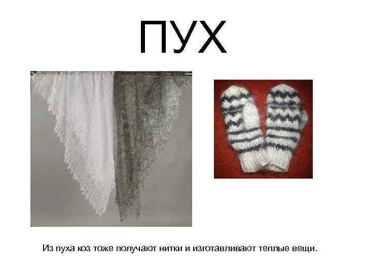ПУХ Из пуха коз тоже получают нитки и изготавливают теплые вещи. 