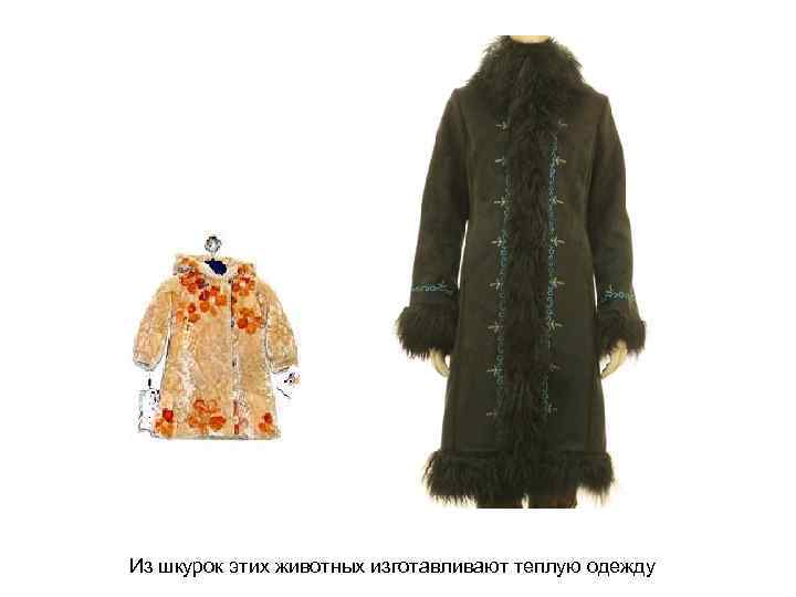 Из шкурок этих животных изготавливают теплую одежду 