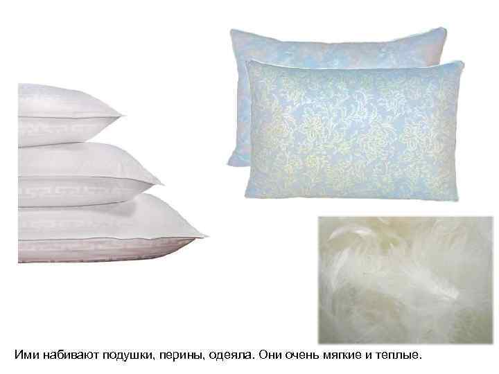 Ими набивают подушки, перины, одеяла. Они очень мягкие и теплые. 