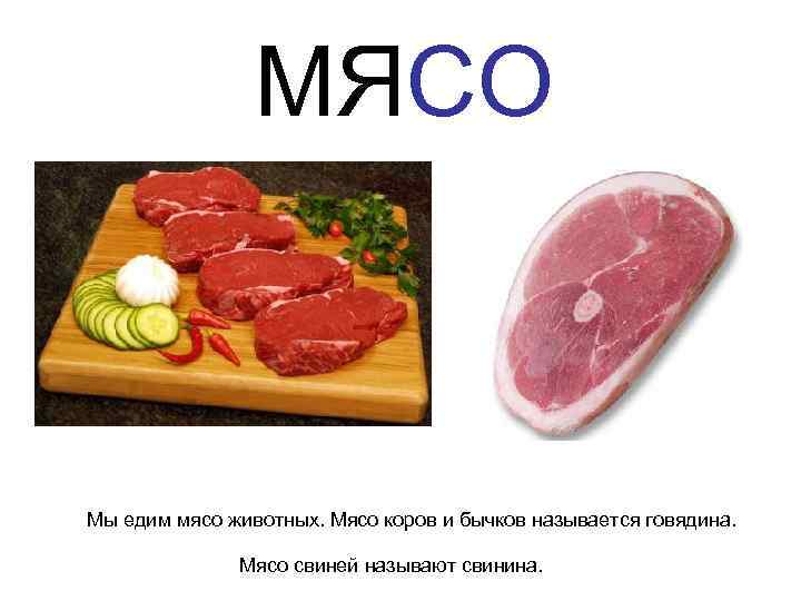 МЯСО Мы едим мясо животных. Мясо коров и бычков называется говядина. Мясо свиней называют