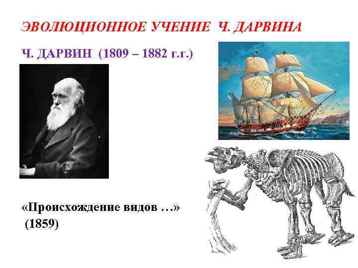 Эволюционное учение. Эволюционное учение ч Дарвина. Эволюционное учение древних. 2. Эволюционное учение.. Предшественники Дарвина в эволюционном учении.