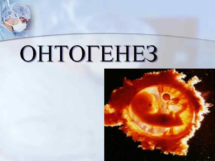 ОНТОГЕНЕЗ 