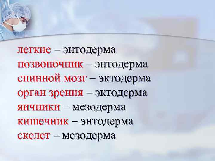 легкие – энтодерма позвоночник – энтодерма спинной мозг – эктодерма орган зрения – эктодерма