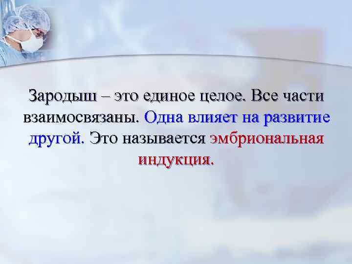 Зародыш – это единое целое. Все части взаимосвязаны. Одна влияет на развитие другой. Это